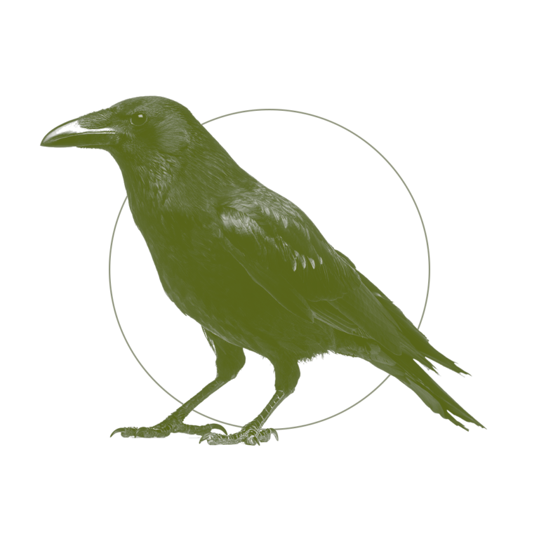 Corvidés